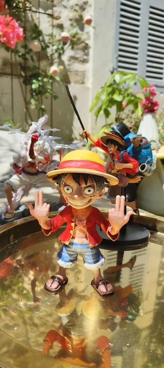 Monkey D. Luffy Painted by Acet